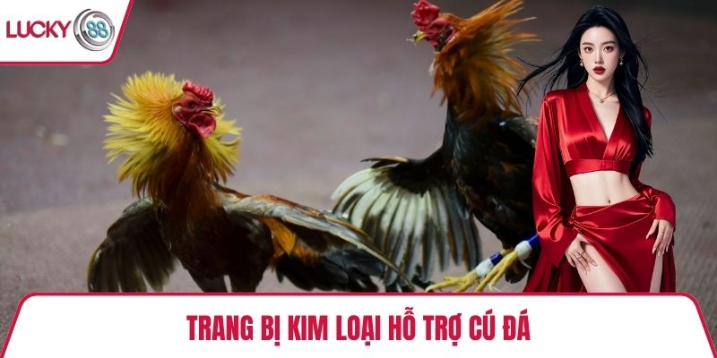 Trang bị kim loại hỗ trợ cú đá